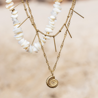 Shell Seeker Necklace Gold