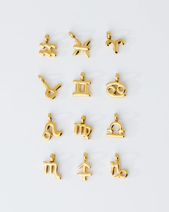 Bubble Zodiac Necklace Charms