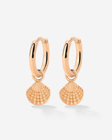 Cute Shell Hoop Set Rose Gold