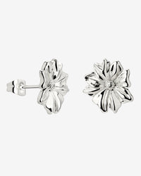 [[Farbe:Silber]]