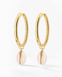 [[Color:Gold]]