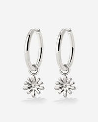 [[Color:Silver]]