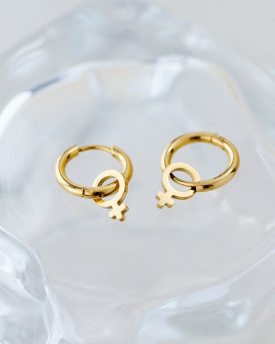 Female Icon Hoop Set Small Rose Gold