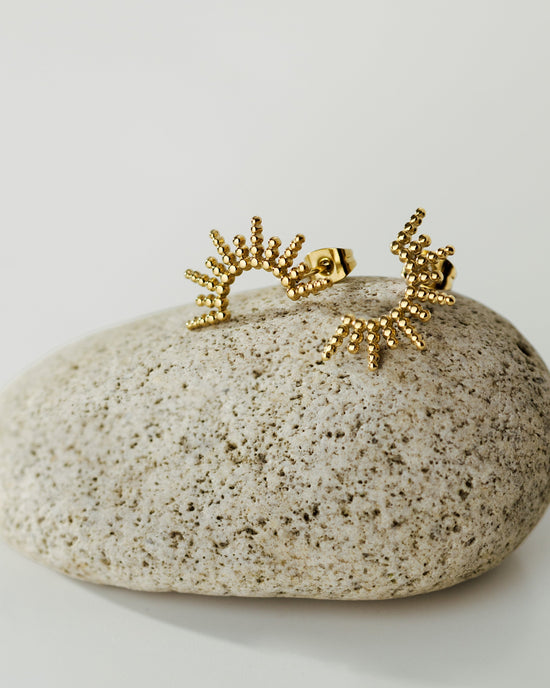 Sunny Earrings Silver