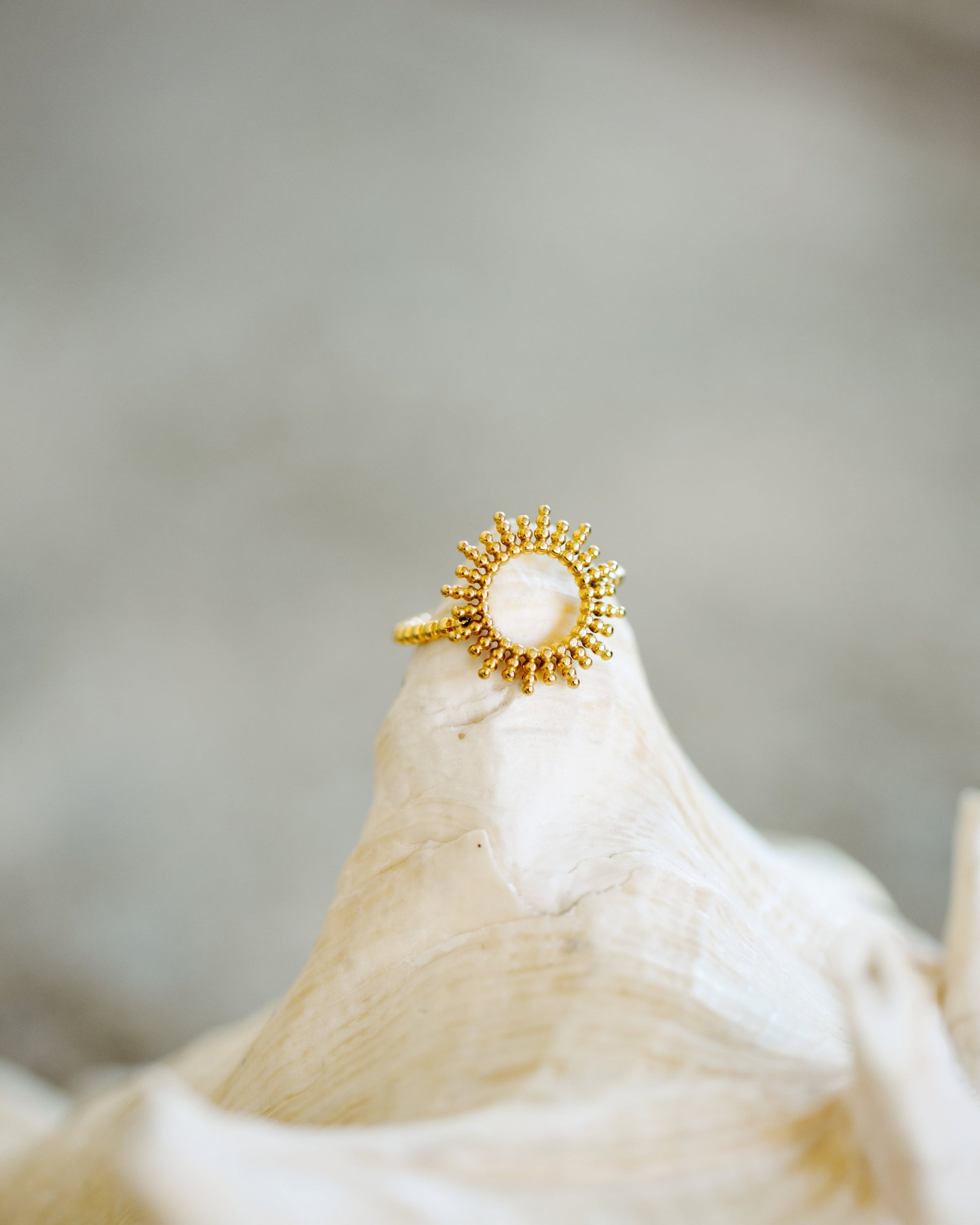 Sunshine Lotti Ring Silver