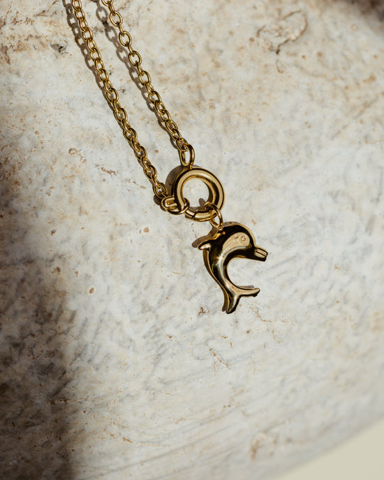 Dolphin Classic Chain Necklace Set Silver