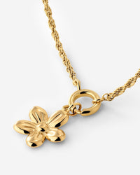 [[Color:gold]]