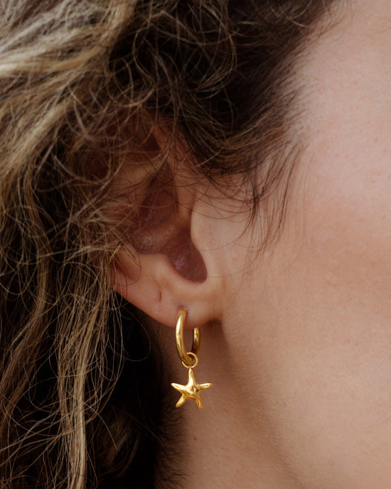 Sea Star Hoop Set Small gold