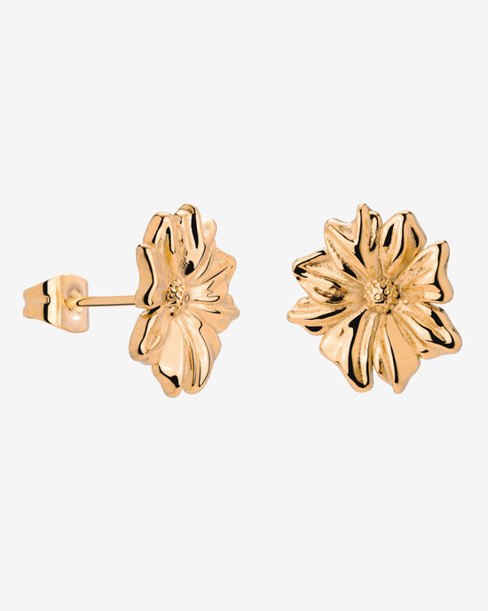 Pure Petal Studs Rose Gold