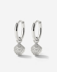 [[Color:Silver]]
