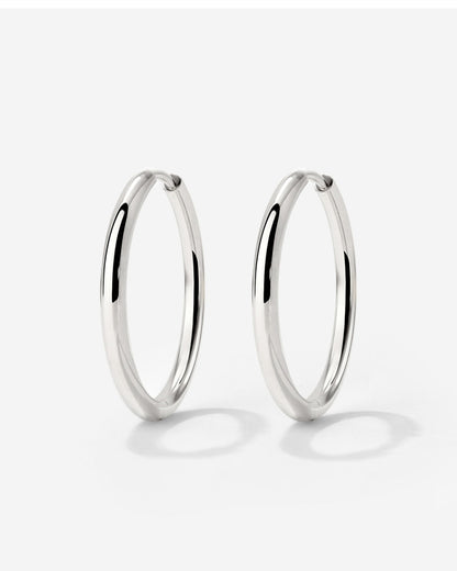 Large Hoop Earrings