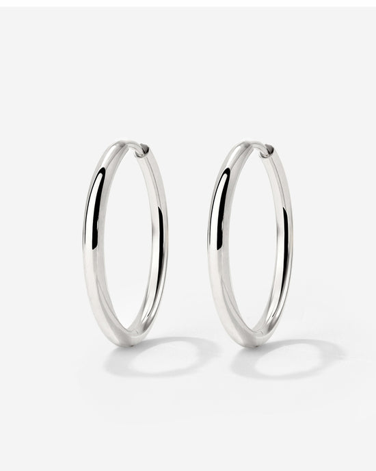 Large Hoop Earrings
