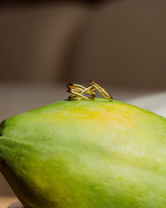 Intertwined Ring Silver