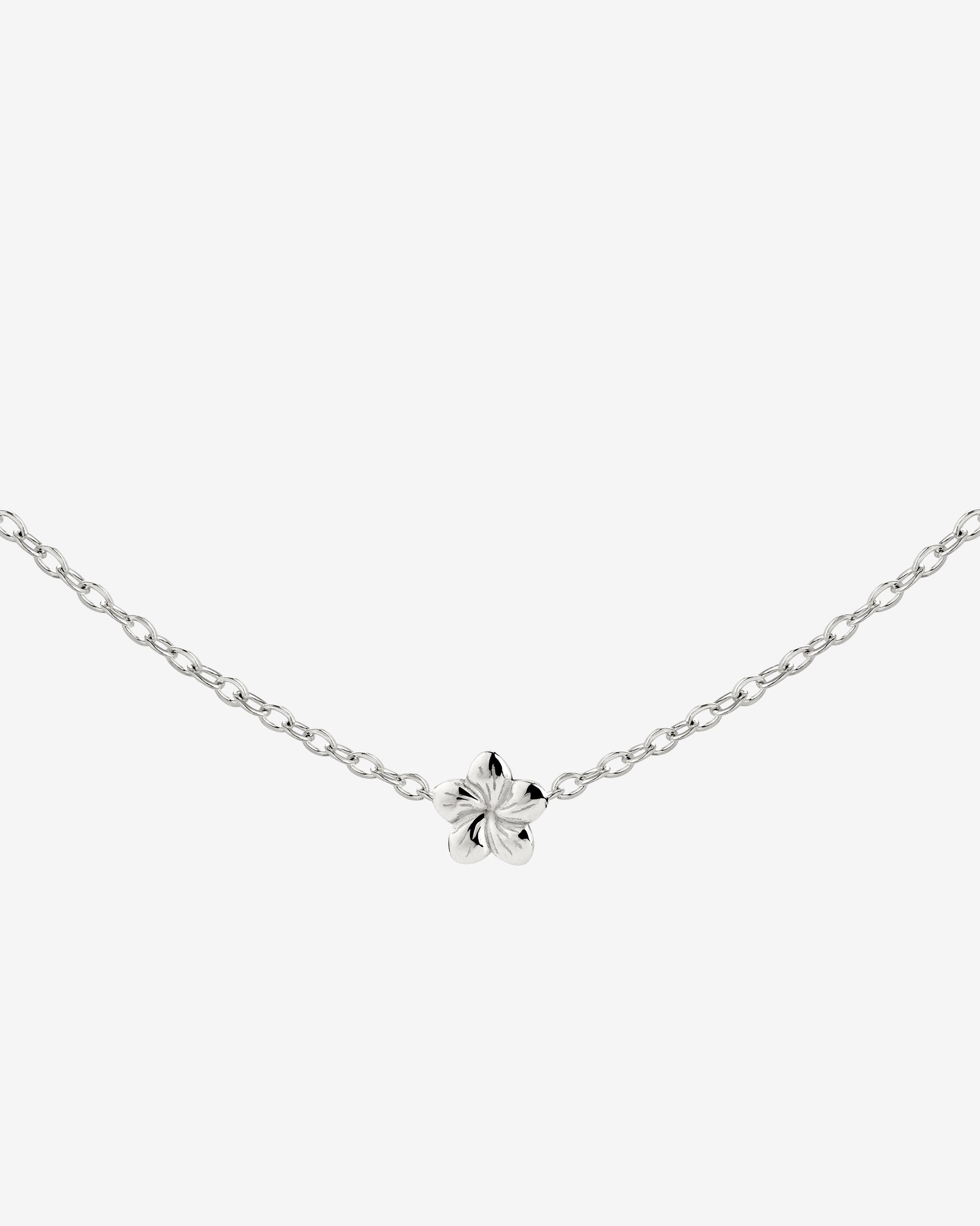 Floral Glow Choker Silver