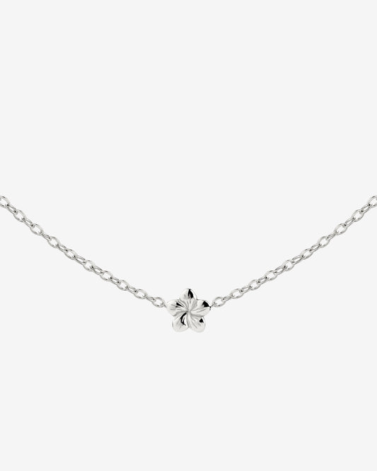 Floral Glow Choker Silver
