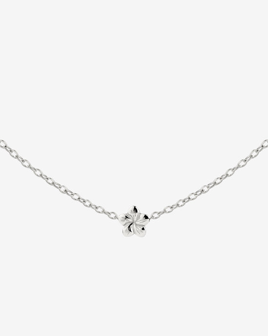 Floral Glow Choker Silver