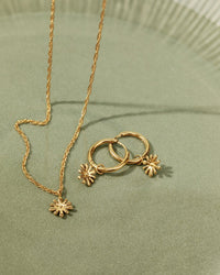 [[Color:Rose Gold]]