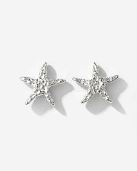 [[Color:Silver]]