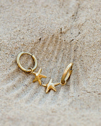 [[Color:gold]]