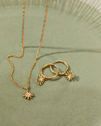 [[Color:gold]]