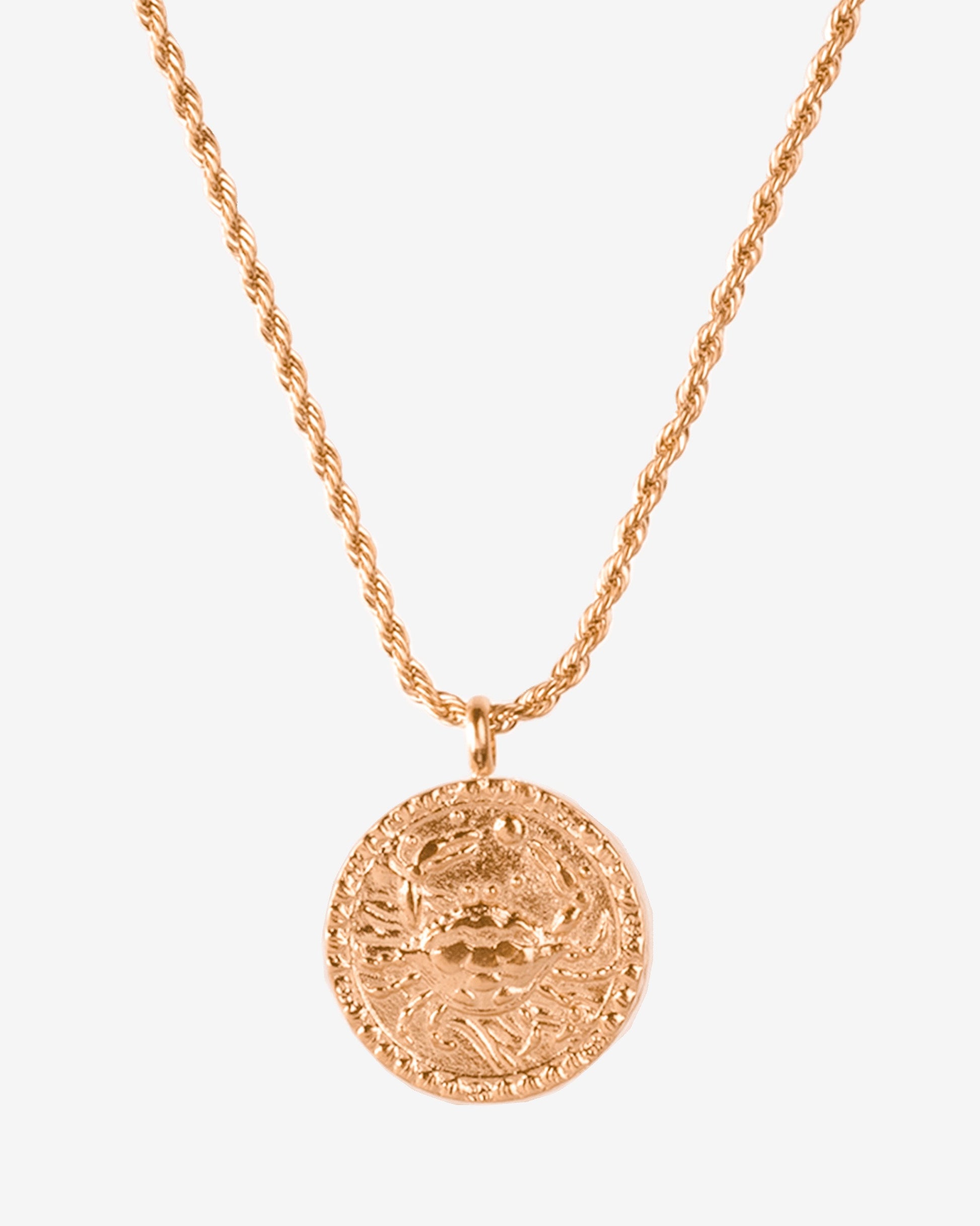 Zodiac Sign Necklace Rose Gold