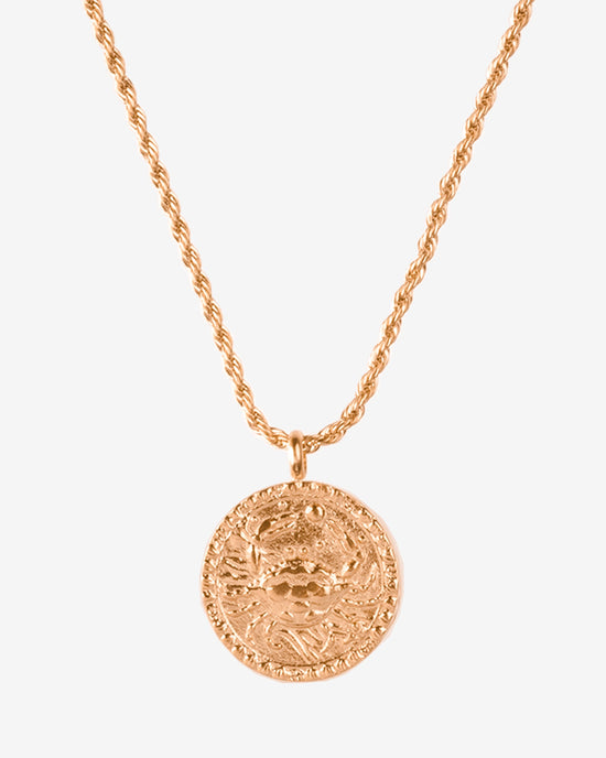 Zodiac Sign Necklace Rose Gold