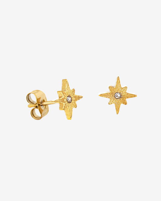 Shiny Anna Stud Earrings Gold