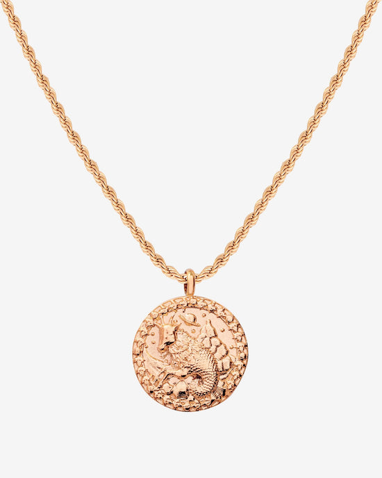 Zodiac Sign Necklace Rose Gold