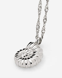 [[Farbe:Silber]]