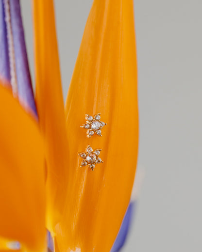 Sparkling White Petal Studs Silver