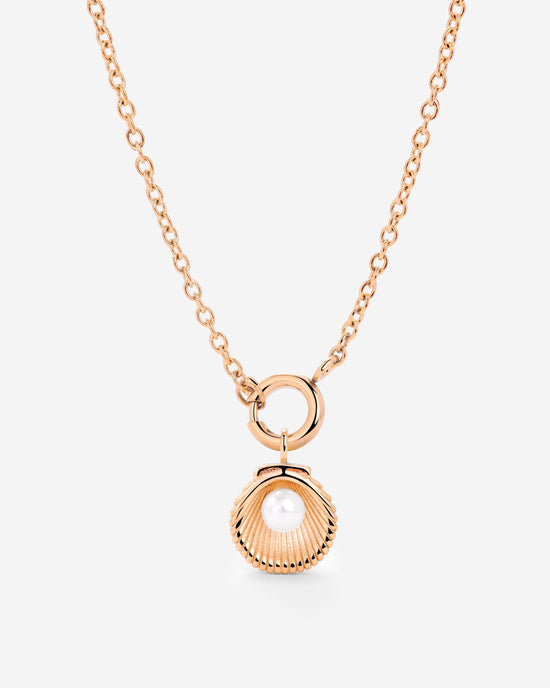 Pearly Shell Classic Chain Necklace Set Rose Gold