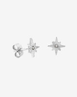 Shiny Anna Stud Earrings Silver