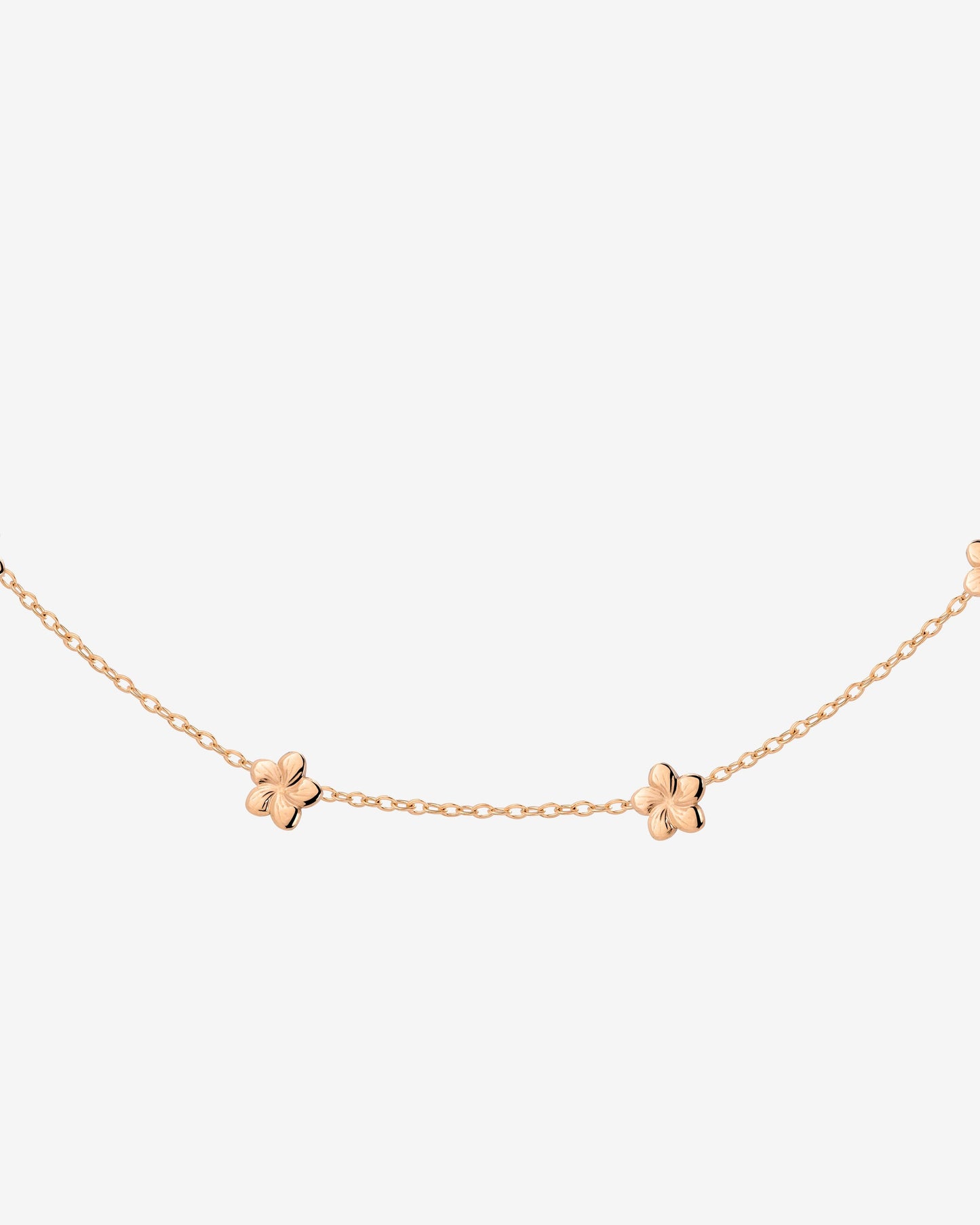 [[Color:Rose Gold]]