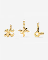 Bubble Zodiac Necklace Charms