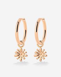 [[Color:Rose Gold]]