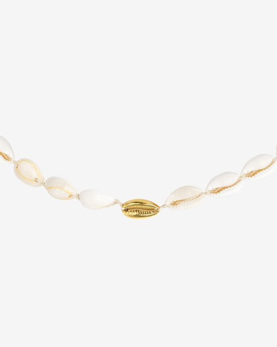 One in a Shell Choker Gold