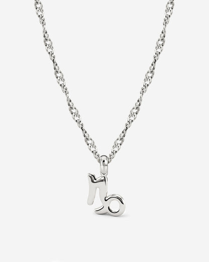 Capricorn Bubble Necklace Silver