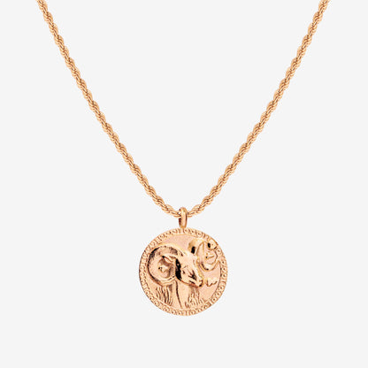 Zodiac Sign Necklace Rose Gold