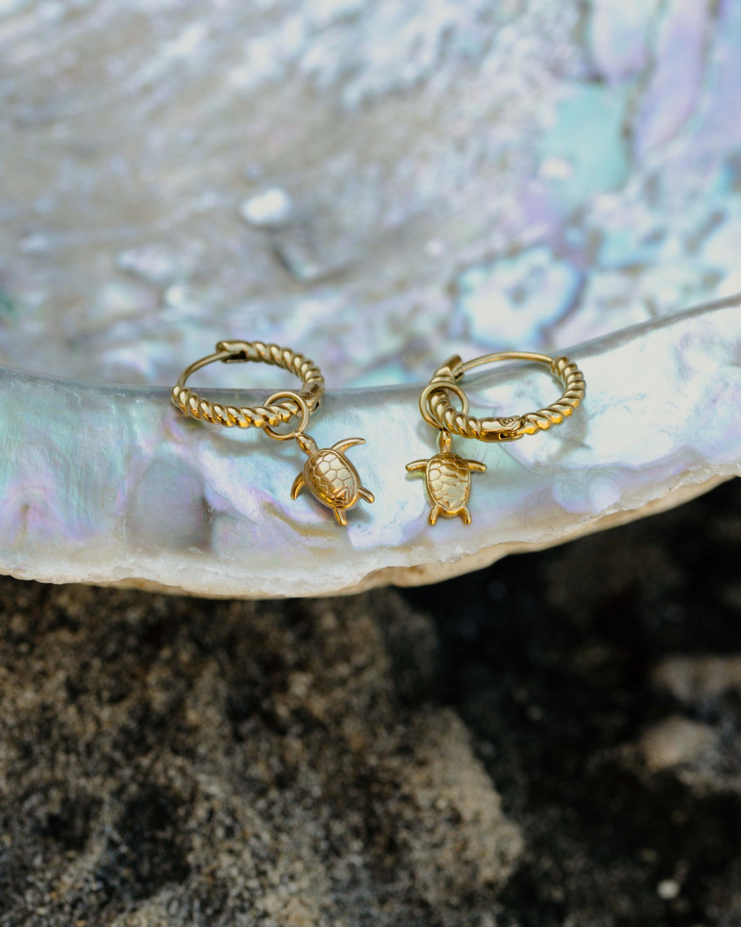 Sea Turtle Twisted Hoop Set Small Silver