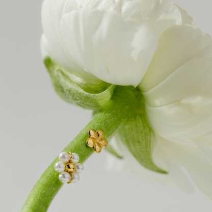 Daisy Studs Gold