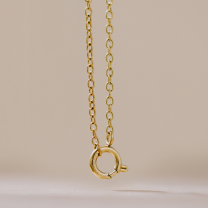Classic Chain Charm Necklace Rose Gold