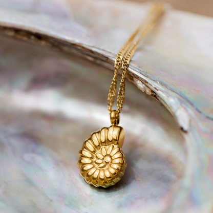 Siren's Spell Necklace Rose Gold