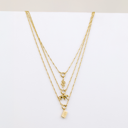 Singapore Chain Charm Necklace Set