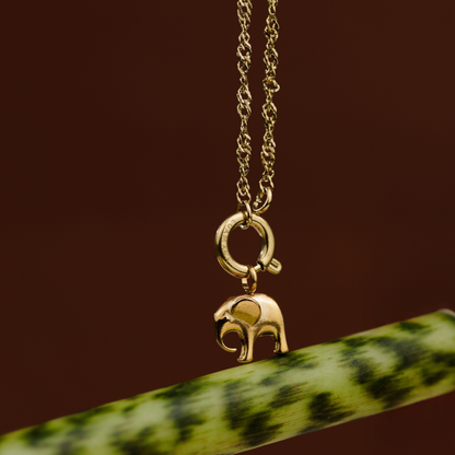 Elephant Singapore Chain Necklace Set Gold