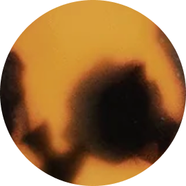 dark-roast
