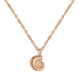 Shell Seeker Necklace Rose Gold