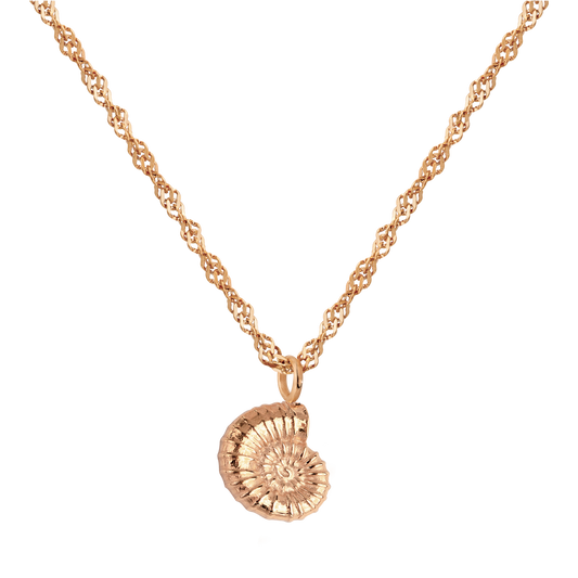 Shell Seeker Necklace Rose Gold