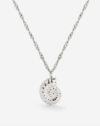 [[Farbe:Silber]]