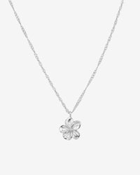 [[Color:Silver]]