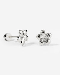[[Farbe:Silber]]